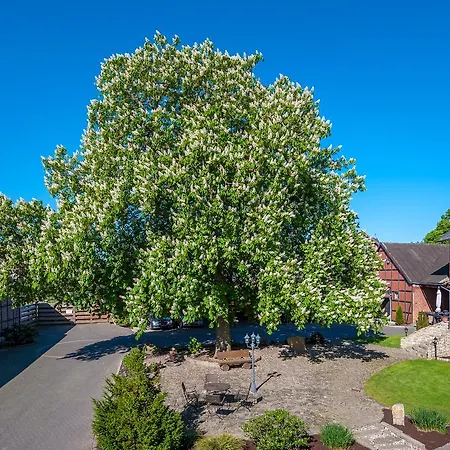 Edelkastanie 3* Voitze